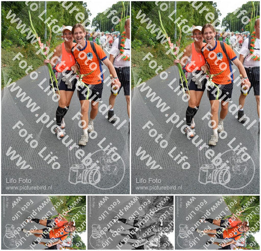 Evenement foto: Nijmeegse Vierdaagse 988