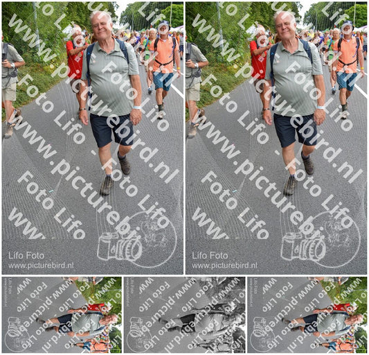 Evenement foto: Nijmeegse Vierdaagse 988