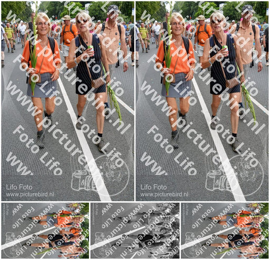Evenement foto: Nijmeegse Vierdaagse 988