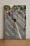 Evenement foto: Nijmeegse Vierdaagse 988