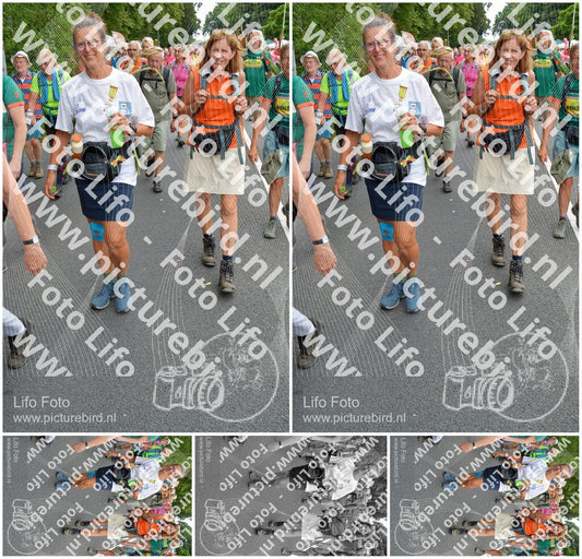 Evenement foto: Nijmeegse Vierdaagse 988