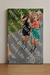 Evenement foto: Nijmeegse Vierdaagse 988