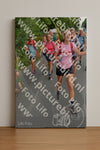 Evenement foto: Nijmeegse Vierdaagse 988
