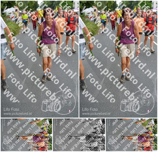 Evenement foto: Nijmeegse Vierdaagse 988