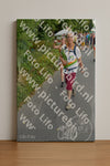 Evenement foto: Nijmeegse Vierdaagse 988