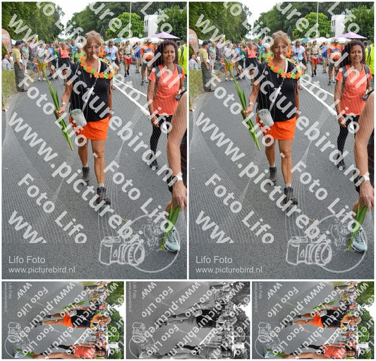 Evenement foto: Nijmeegse Vierdaagse 988