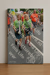 Evenement foto: Nijmeegse Vierdaagse 988
