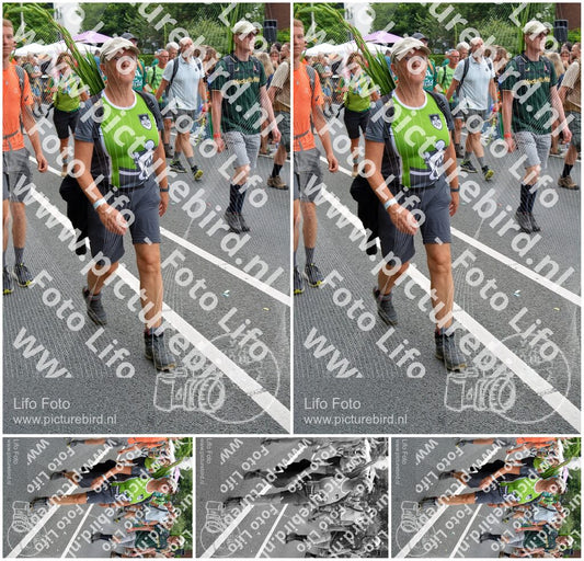 Evenement foto: Nijmeegse Vierdaagse 988