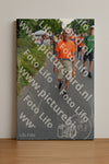 Evenement foto: Nijmeegse Vierdaagse 988