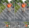 Evenement foto: Nijmeegse Vierdaagse 988
