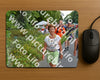 Evenement foto: Nijmeegse Vierdaagse 988