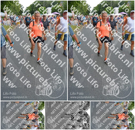 Evenement foto: Nijmeegse Vierdaagse 988