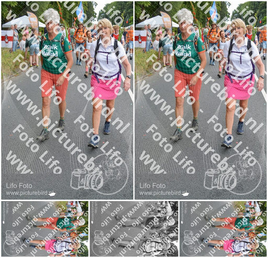 Evenement foto: Nijmeegse Vierdaagse 988