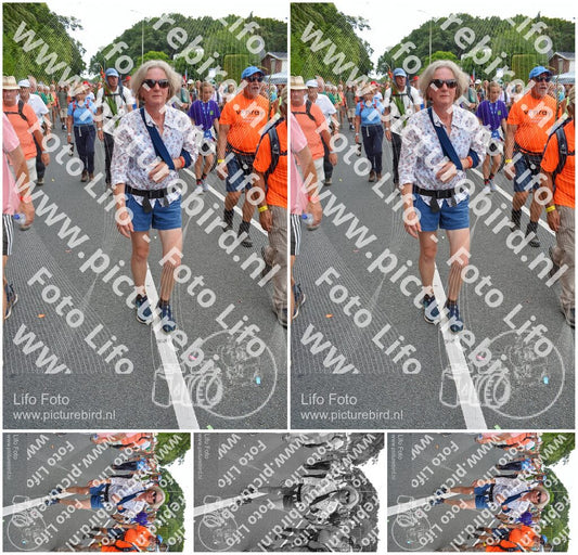 Evenement foto: Nijmeegse Vierdaagse 988