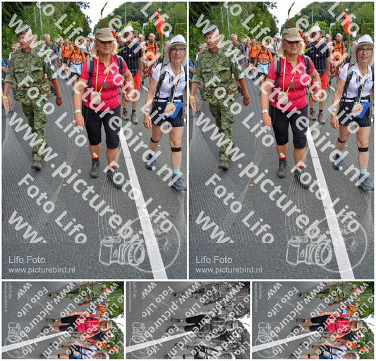 Evenement foto: Nijmeegse Vierdaagse 988
