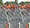 Evenement foto: Nijmeegse Vierdaagse 988