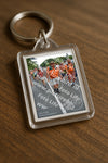Evenement foto: Nijmeegse Vierdaagse 988
