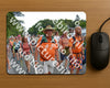 Evenement foto: Nijmeegse Vierdaagse 988