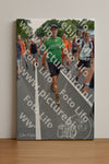 Evenement foto: Nijmeegse Vierdaagse 988