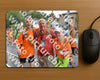Evenement foto: Nijmeegse Vierdaagse 988