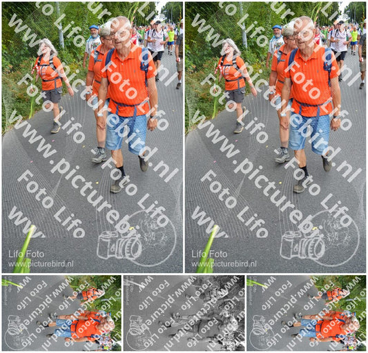 Evenement foto: Nijmeegse Vierdaagse 988