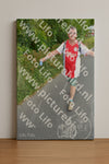 Evenement foto: Nijmeegse Vierdaagse 988