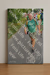 Evenement foto: Nijmeegse Vierdaagse 988