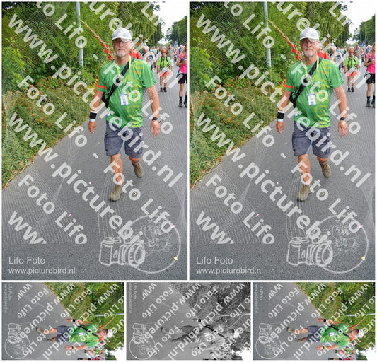 Evenement foto: Nijmeegse Vierdaagse 988