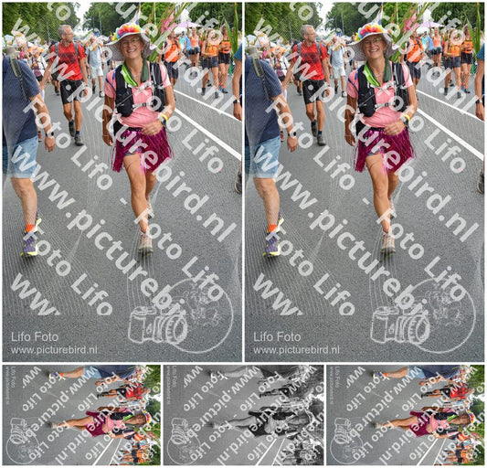 Evenement foto: Nijmeegse Vierdaagse 988