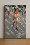 Evenement foto: Nijmeegse Vierdaagse 988