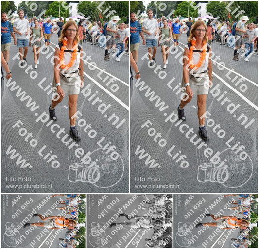 Evenement foto: Nijmeegse Vierdaagse 988
