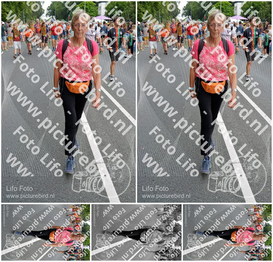 Evenement foto: Nijmeegse Vierdaagse 988