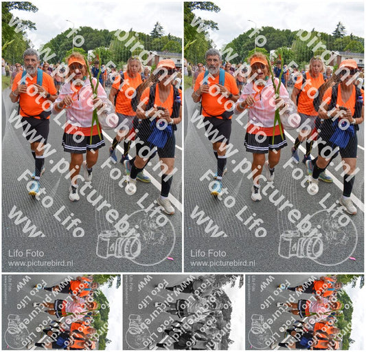 Evenement foto: Nijmeegse Vierdaagse 987