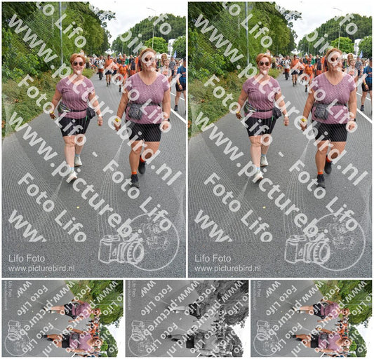 Evenement foto: Nijmeegse Vierdaagse 987