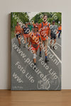 Evenement foto: Nijmeegse Vierdaagse 987