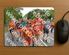 Evenement foto: Nijmeegse Vierdaagse 987