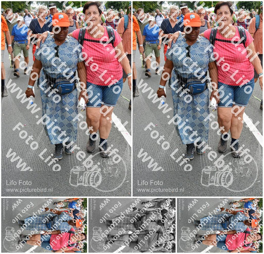 Evenement foto: Nijmeegse Vierdaagse 987