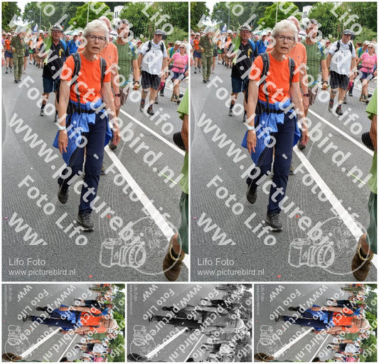 Evenement foto: Nijmeegse Vierdaagse 987