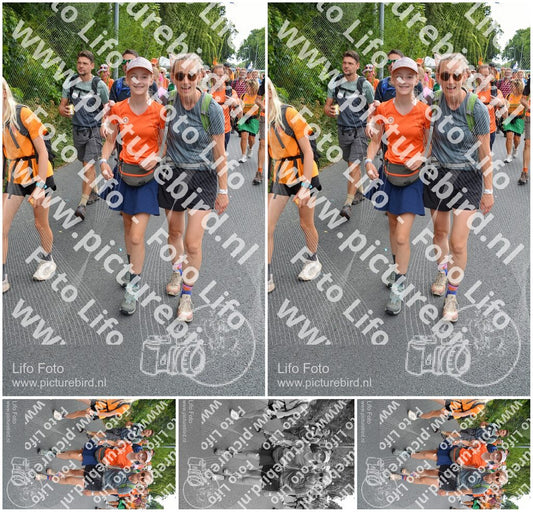 Evenement foto: Nijmeegse Vierdaagse 987