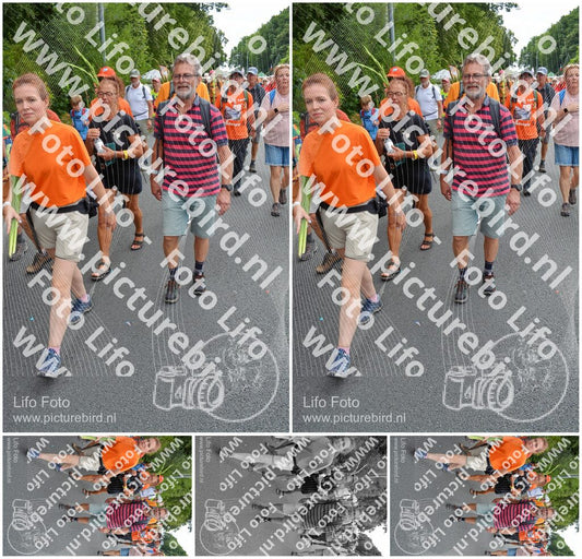 Evenement foto: Nijmeegse Vierdaagse 987
