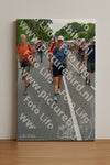Evenement foto: Nijmeegse Vierdaagse 987