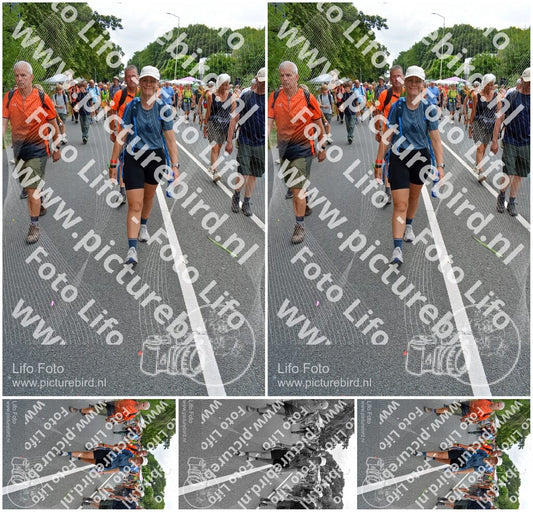 Evenement foto: Nijmeegse Vierdaagse 987