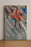 Evenement foto: Nijmeegse Vierdaagse 987