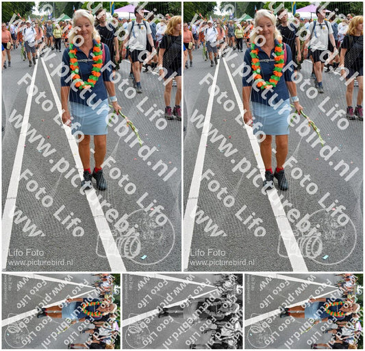 Evenement foto: Nijmeegse Vierdaagse 987