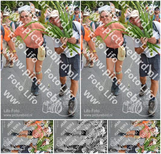 Evenement foto: Nijmeegse Vierdaagse 987