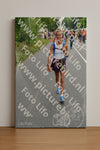 Evenement foto: Nijmeegse Vierdaagse 987