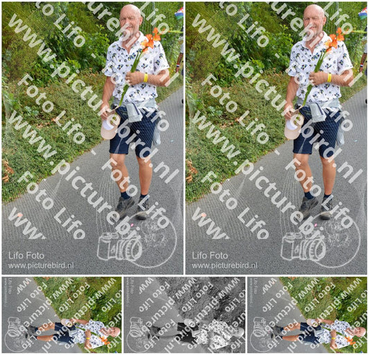 Evenement foto: Nijmeegse Vierdaagse 987