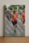 Evenement foto: Nijmeegse Vierdaagse 987