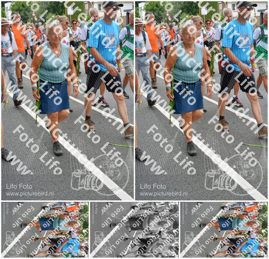 Evenement foto: Nijmeegse Vierdaagse 987