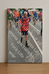 Evenement foto: Nijmeegse Vierdaagse 987